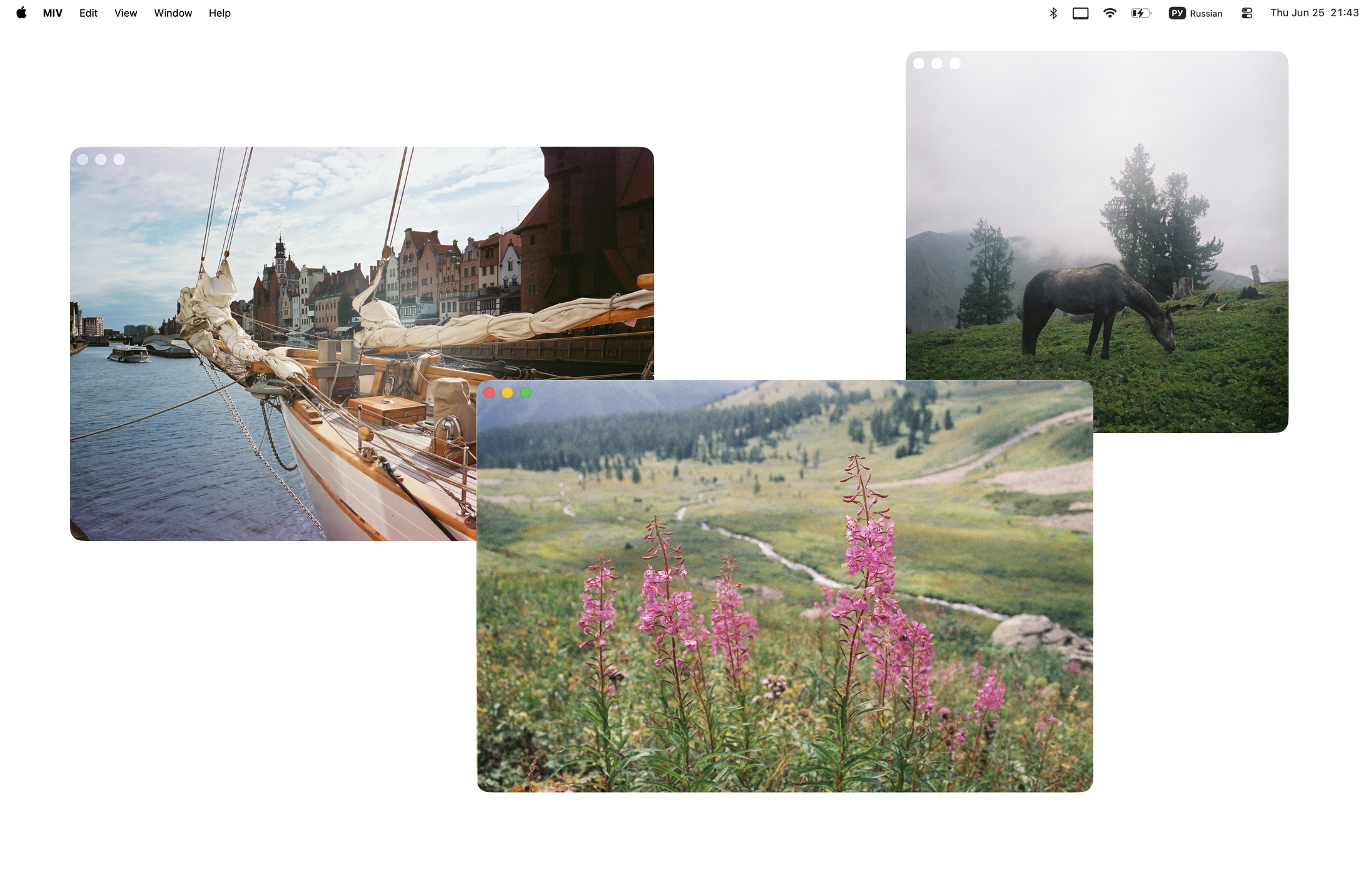 Missed Image Viewer showing multiple image windows on macOS